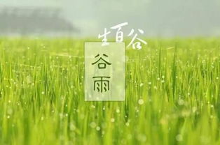 最美廿四节气诗：谷雨——他与春天的诗意邂逅