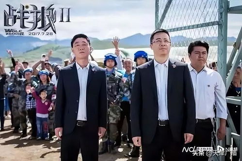 知名电影人宋歌被判刑，背后真相令人深思