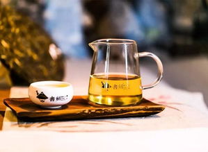 普洱茶为何被称为“茶人终点站”？揭开资深玩家的上瘾秘密