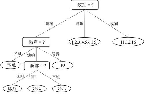 决策树的最终构建：从零开始的个人实战之旅