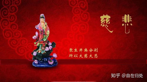 慈悲深意：一场心灵的觉醒之旅