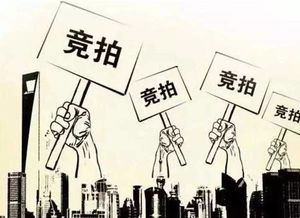 国有资产拍卖处置中的“天下拍”：小人物的大舞台