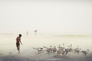 生活中的随意：在平凡中发现美好