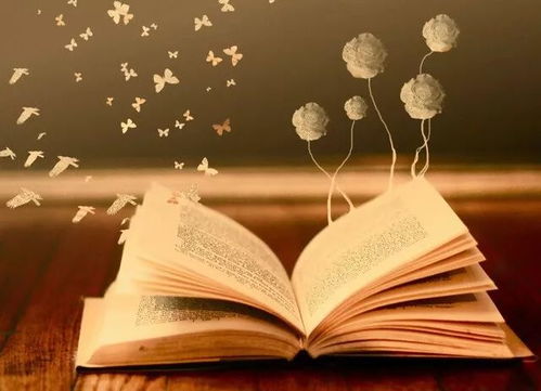 当你痛苦时，他选择用阅读点亮人生