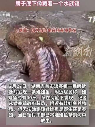 金价暴跌！他囤了10公斤黄金却深陷困境