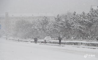 山东大雪：一场银装素裹的冬日奇景