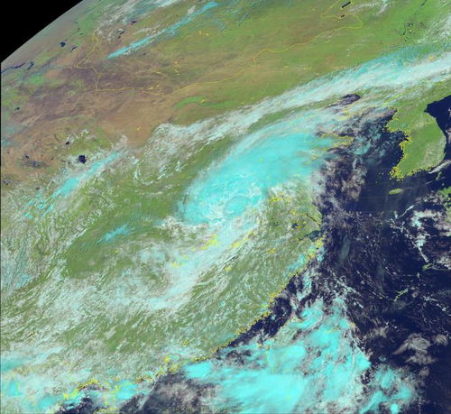 亲历北方暴雨：一场与极端天气的较量