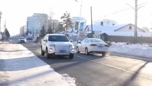 亲历山东暴雪：红色预警下的生活挑战与温暖瞬间