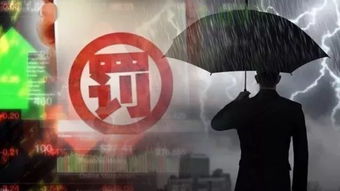 4人因造谣网暴被终身禁入卧龙大熊猫苑：真相背后的深思