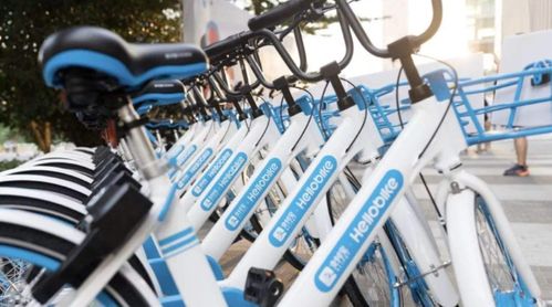 哈罗卫士：一位普通人的守护之旅