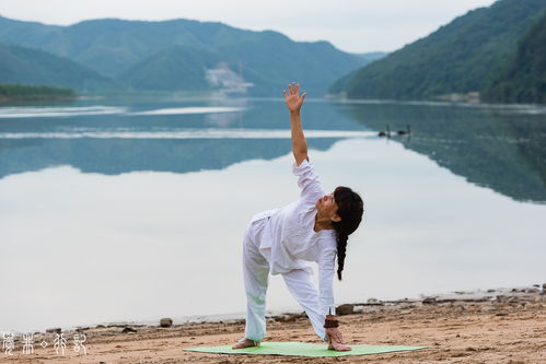 山水之间的读书人：在自然中寻找灵魂的归宿