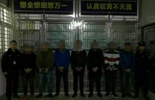 正义的守护者：洪文恕法官与恶势力十年抗争的感人故事