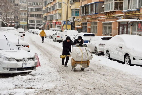 济南因暴雪停课：亲历者视角下的城市应对与温暖瞬间