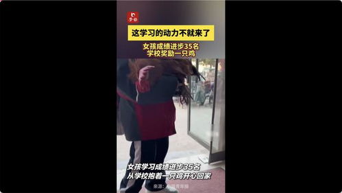 女孩成绩进步学校奖励一只鸡：从平凡到不凡的励志故事