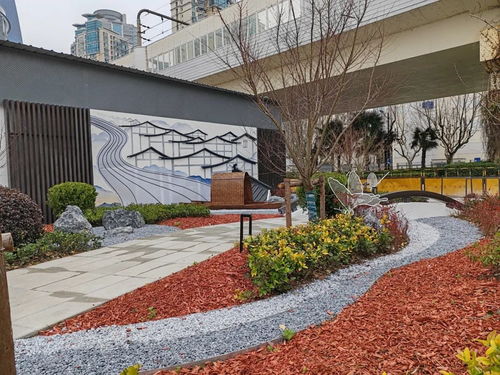 家门口的口袋公园：生活的小确幸