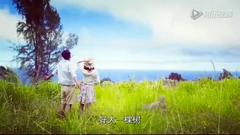 那些藏在心底的美好回忆