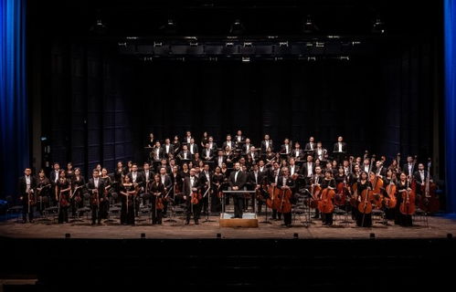 岁时的交响：一场与时间共鸣的心灵旅程