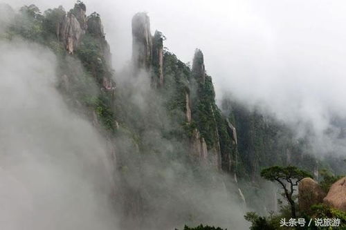 探寻中国的名山秀岳，领略自然与文化的双重魅力