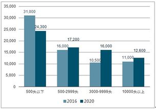 2025年2月总结&3月计划：他的成长之旅