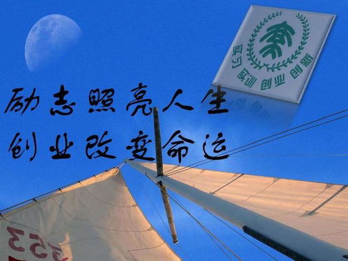 创业路上的深刻领悟：从迷茫到清晰的成长之旅