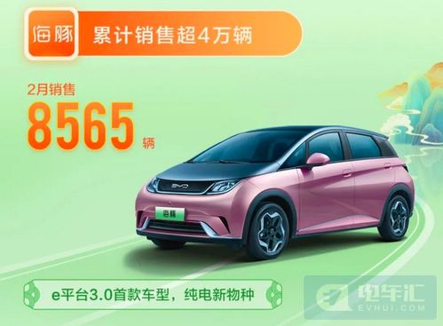 比亚迪2月销量322846辆：我见证的国货崛起