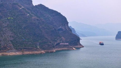 三峡“小狗山”走红，他去打卡后竟发现更多惊喜！