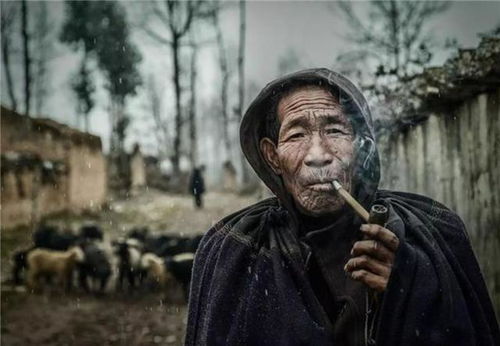 大学生网购垃圾袋数量不符事件：一场消费维权的启示