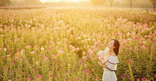 开启“做减法”的后半生：从复杂到简单的人生蜕变