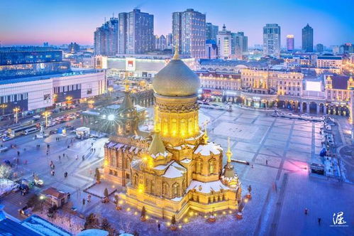 哈尔滨的春日记忆：一场与城市的温暖邂逅