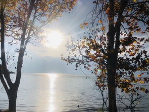 可惜彩云绕梦间：一场与梦想交织的旅程