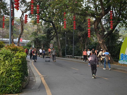 外骨骼机器人：景区新宠，离普及只差一个“共享单车”模式？