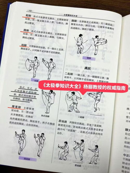 孙式太极拳的魅力：杨丽老师的太极知识大全