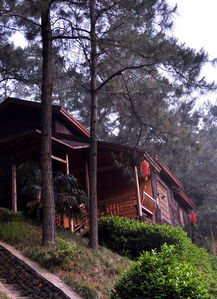 早晨的木屋村：一场心灵的邂逅