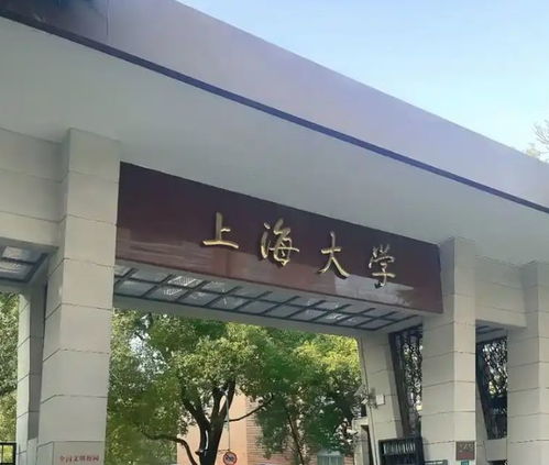 上海大学女生专业课仅10分背后：一场关于努力与选择的深刻反思