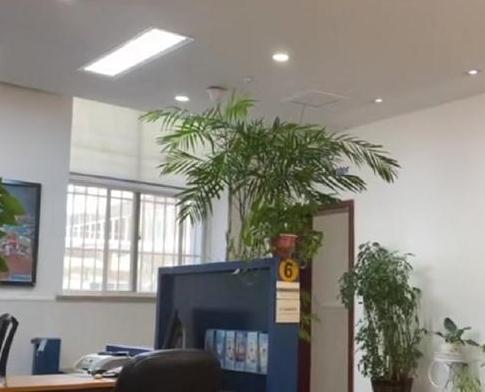 银行回应卧榻老人被推到柜台取钱：真相背后的温暖与反思