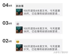 80/17/100打卡：一场自我突破的奇妙旅程