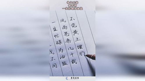 青山不改，岁月悠长：一个普通人对生活的执着