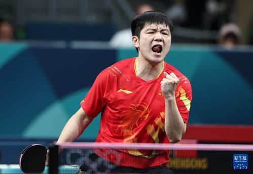 樊振东通过体测：实力与毅力的双重考验