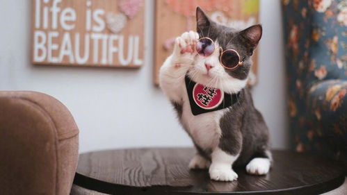 喜欢依赖别人的小羊：从软弱到成长的故事