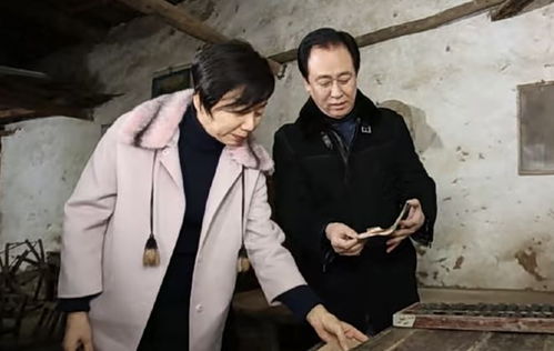 揭秘许家印前妻的资产追查之路：一场法律与真相的博弈