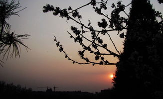 春天的夜晚：那些藏在微风中的故事