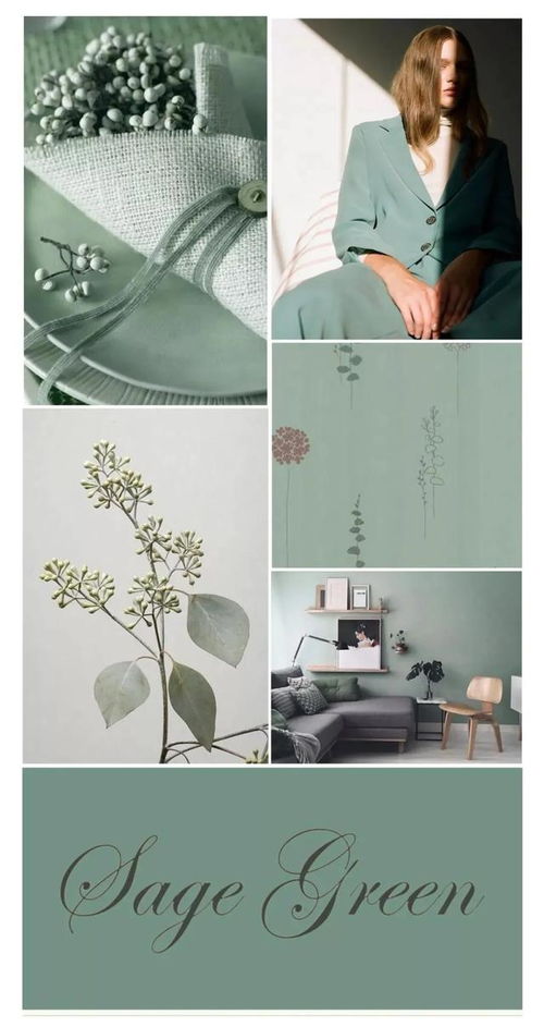 给春天一点颜色看看：跟随我脚步，探寻春日的缤纷画卷