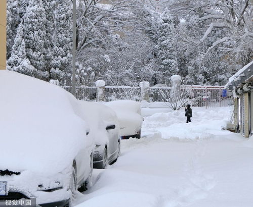 山东大雪纷飞，8厘米积雪深度见证冬日奇迹
