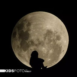 看月亮的孩子：一个关于梦想与坚持的故事