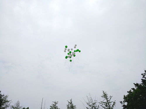 随感6：生活中的小确幸与成长