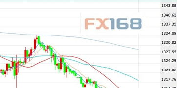 国际金价大跌，小李的投资策略还能hold住吗？