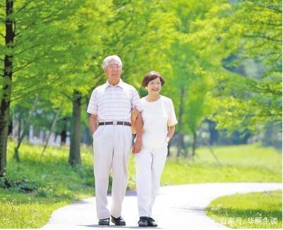 从散步到快走：校园里的节奏变迁