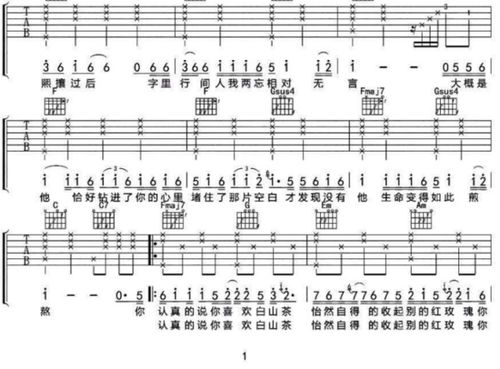 茶叶之歌：一场与茶的深情对话