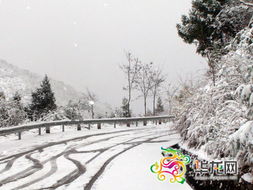 济南大雪：半个手掌深的积雪见证冬日奇迹