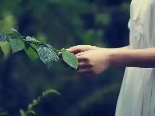 活出自我：在平凡中绽放独特光彩